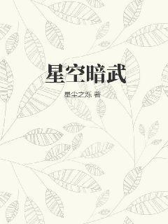星空之武