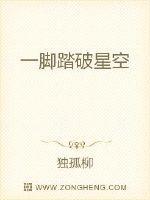 踏破星空TxT