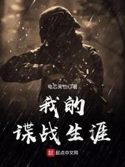 我的谍战生涯阅读