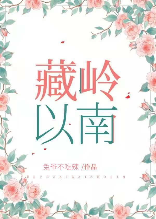 藏岭以南免费