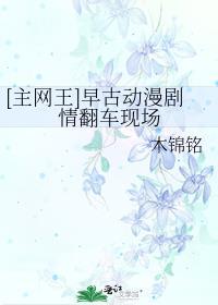 网王主比赛