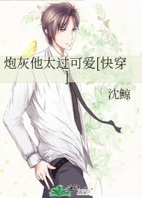 炮灰他太漂亮完整