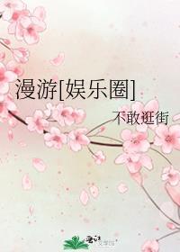 漫游[娱乐圈