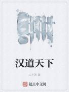 汉道天下顶点