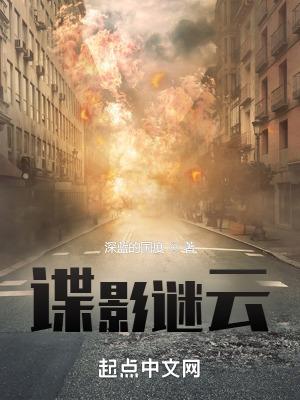 谍影谜云 第205章