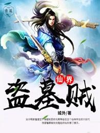 仙界盗墓贼全本