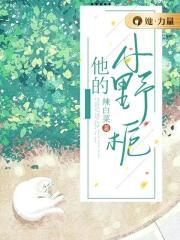 他的小野猫晋江