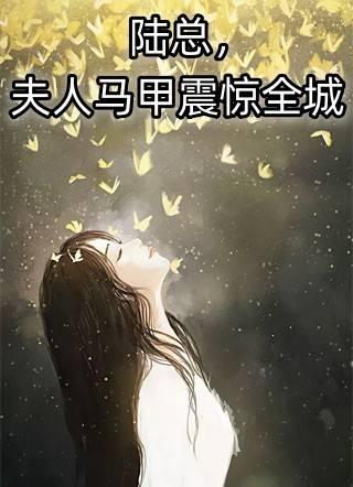 安暖陆南陆玥免费阅读