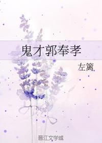 鬼才郭奉孝by左篱