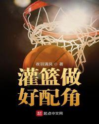 灌篮做好配角TXT