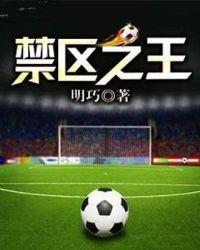 足球小禁区之王