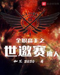 全职高手之世邀赛TXT