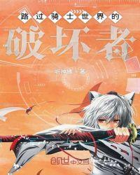 路过无限的骑士