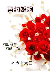 人形天灾超幸运免费阅读