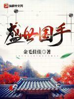 盛世国际