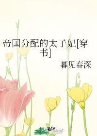 帝国太子妃宝书网