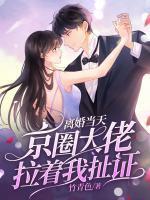 苏沐颜顾琰叫什么名字