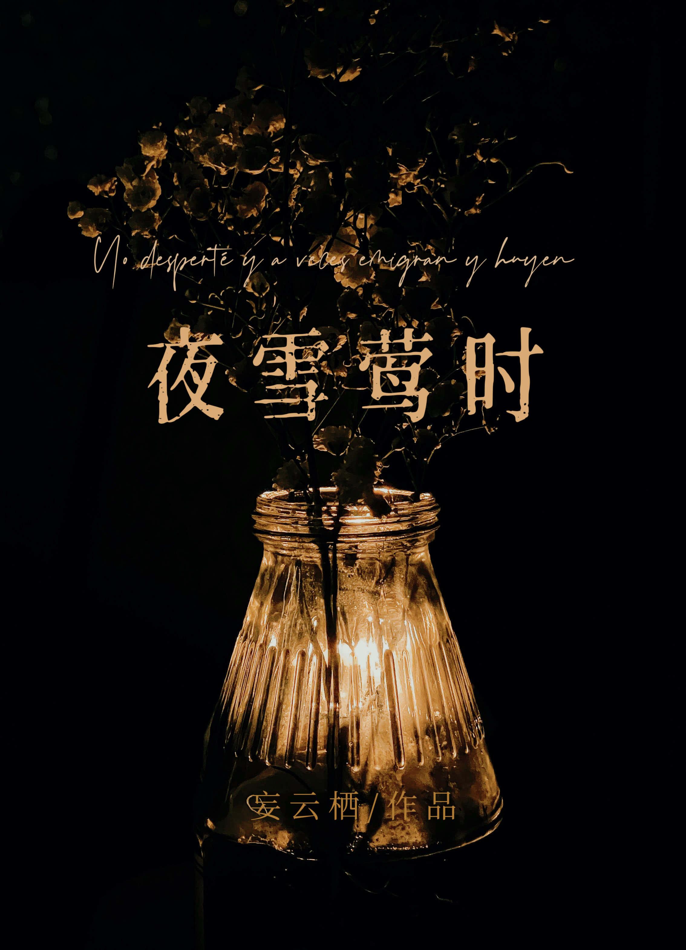 夜雪莺时妄云栖免费阅读