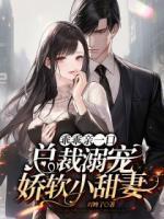 靳少的心尖宠南灵