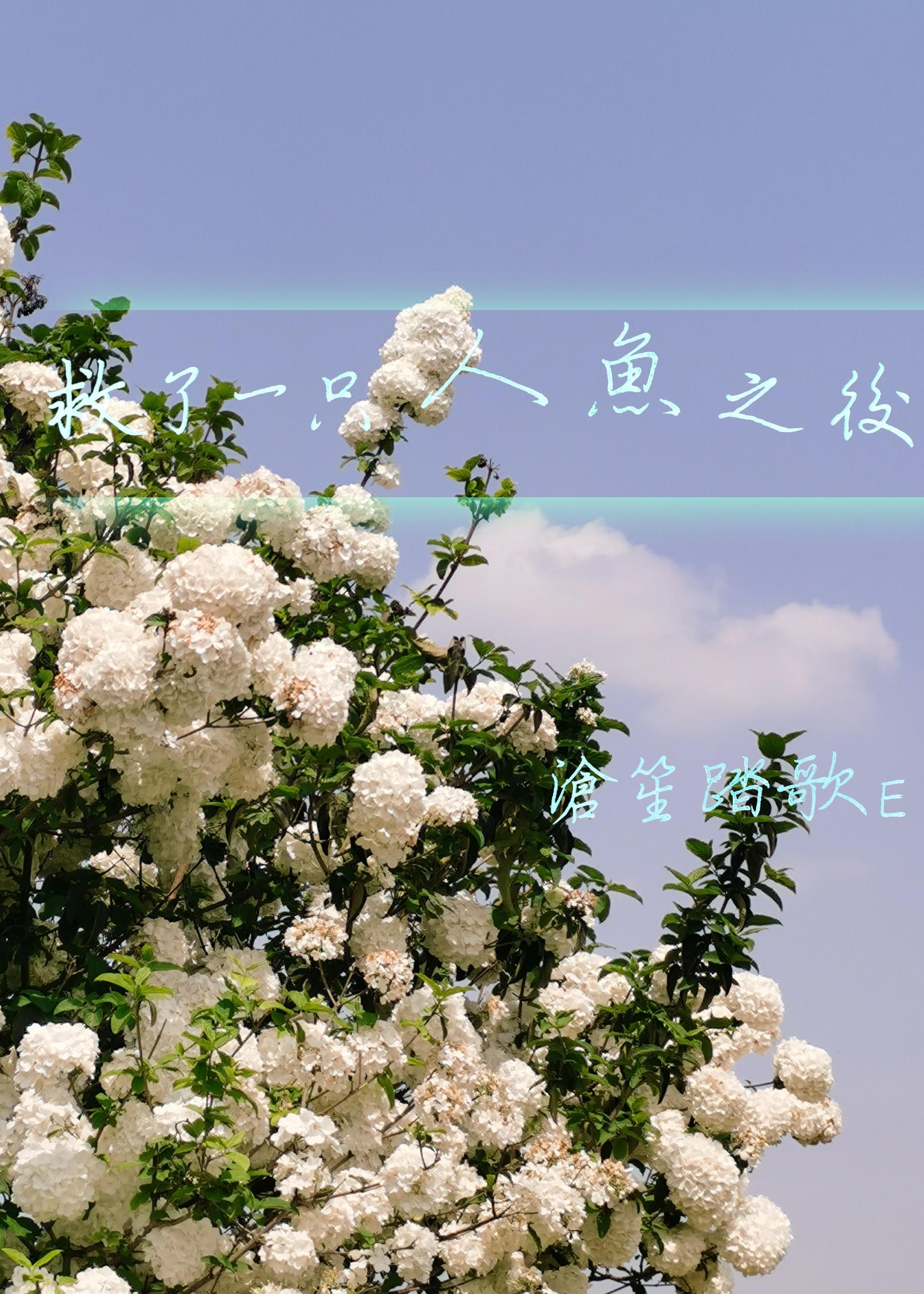 一个人救了一条鱼 鱼变成人来报恩