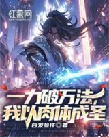野茶王多少钱一斤