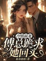 女主叫林婉婉男主叫傅北琛