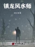 主角叫李平安的穿越
