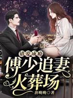 傅沛林婉婉结局