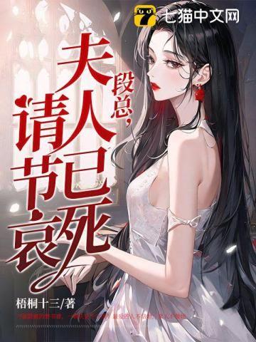 段夫人今天又上热搜了全文免费阅读
