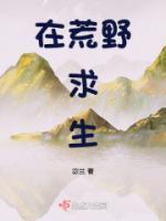 主人公是林言的