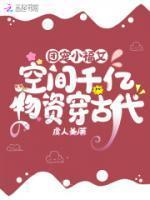 主人公叫苏念的