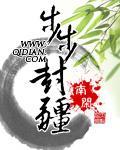 草根崛起布衣青云路