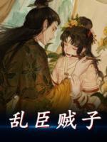 苏安暖叶清寒的