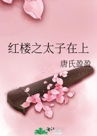 红楼之太子在上免费