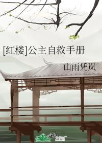 红楼公主自救手册TXT