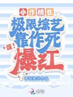 盛鸢时砚免费阅读全文无弹窗笔