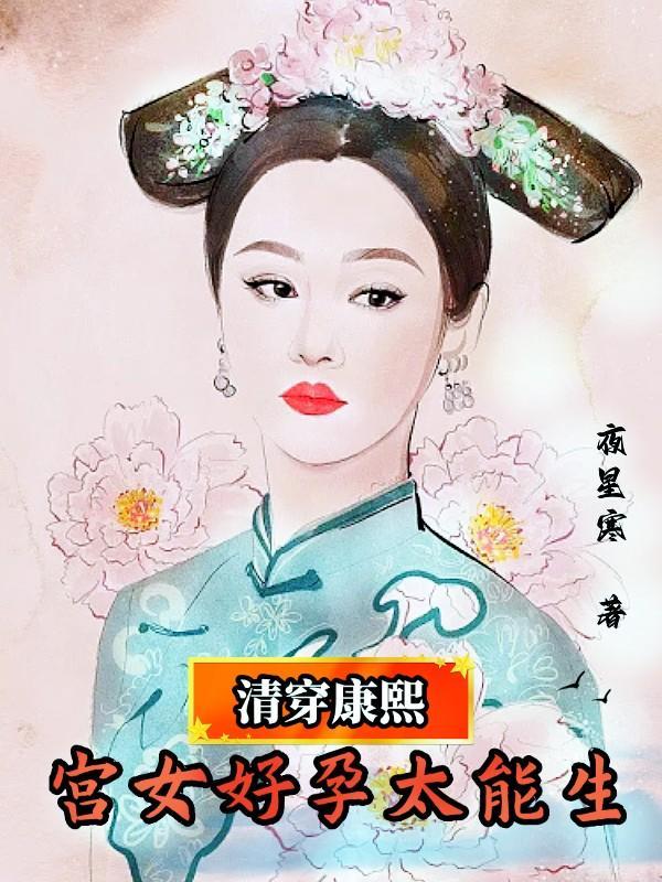 清穿康熙宫女好孕太能生结局