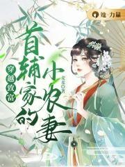 穿越首辅早