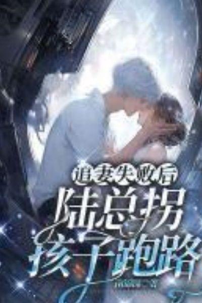 追妻不晚陆少的心尖宠免费阅读