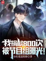 顾长安容湛全文免费阅读