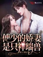 沈涵傅晨禹免费阅读