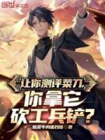 赵枫访谈