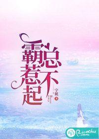 总载吗咪惹不起