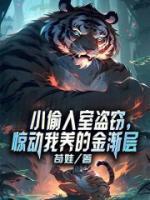 苏飞沈冰燕