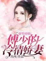 西瓜免费阅读沈湘傅少钦