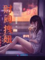 苏羡意陆时渊免费全文阅读