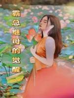 沈涟漪谭霁北的