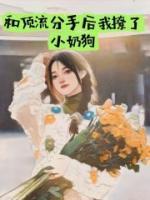 宋知书是什么