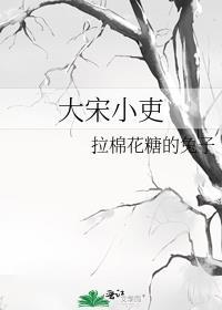大宋小吏讲的什么