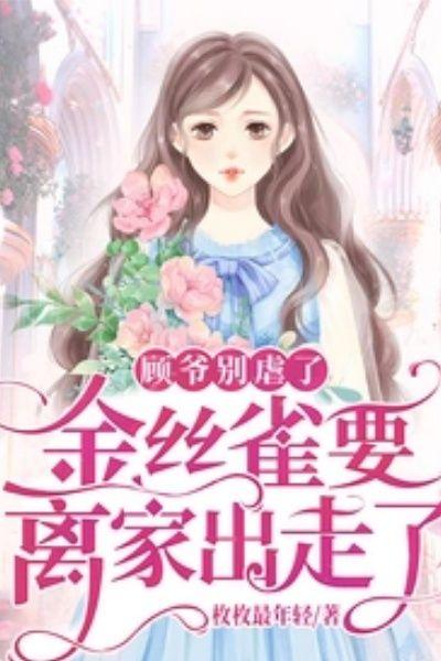 顾少的金丝雀